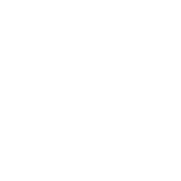 Brady Plus